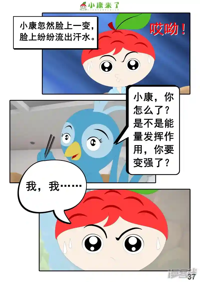 73.jpg