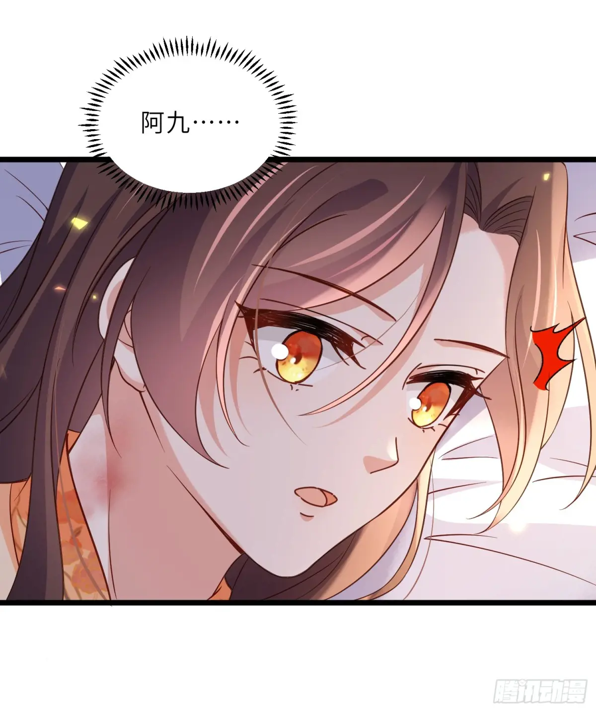 41.jpg